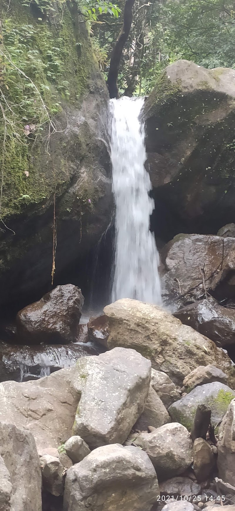 Meppadi - Meppadi Meppadi, Kerala 673577, India