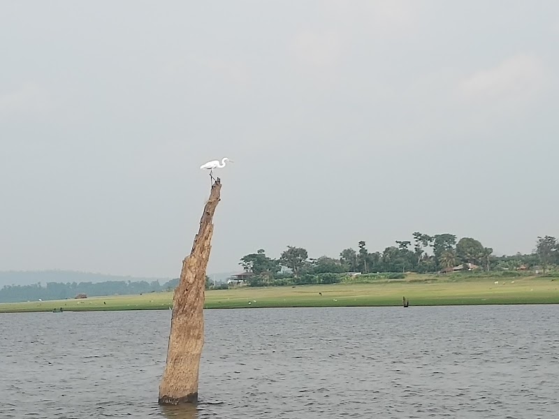 Kabini Reservoir - Kabini Reservoir, Karnataka