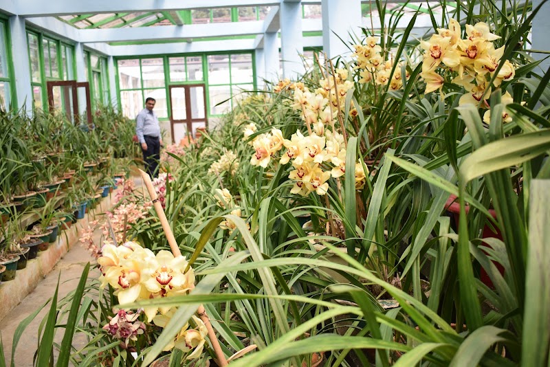Takdah Orchid Centre - Takdah Orchid Centre Unnamed Road, 29M2+C5W, Rangli Ranglot Tea Garden, Tukdah Forest, West Bengal 734222, India