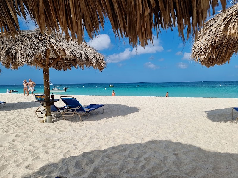 Eagle Beach - Eagle Beach Eagle Beach, Aruba