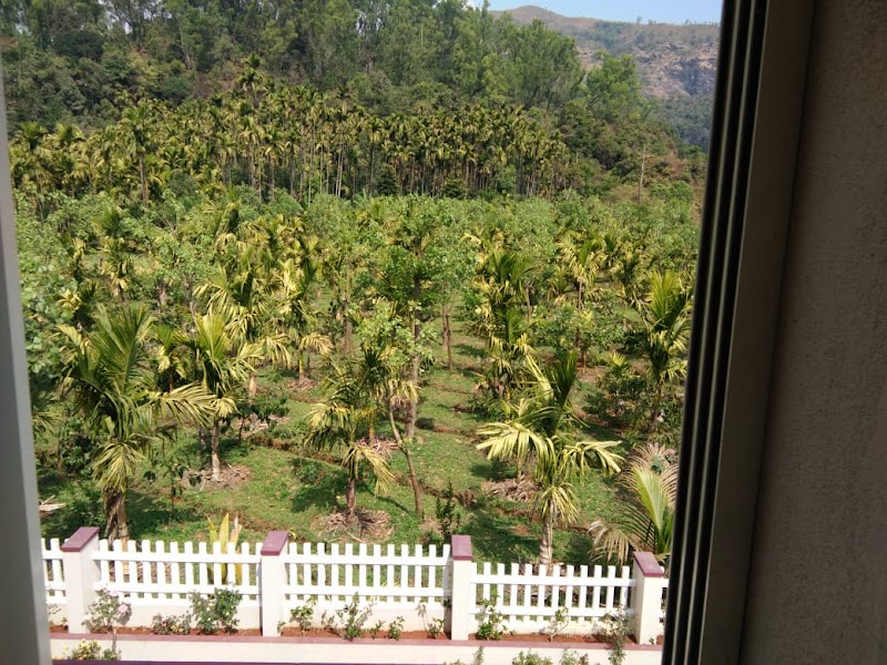 Beladingallu (Nammamane) Homestay - Beladingallu (Nammamane) Homestay, Balgal, Samse, Kalasa, Samse, Karnataka 577124, India