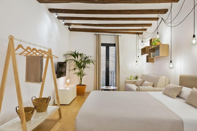 Ola Living Born - Ola Living Born, Carrer de Sant Antoni dels Sombrerers, 4, Ciutat Vella, 08003 Barcelona, Spain