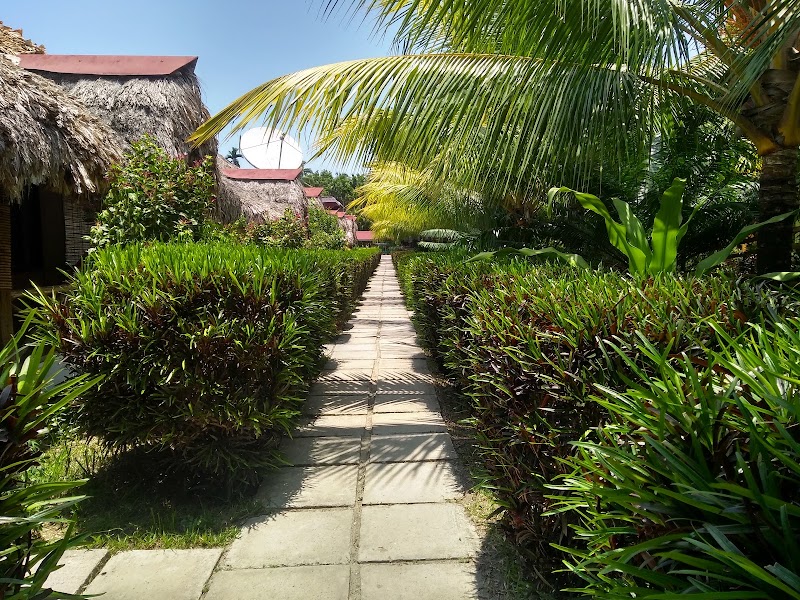 The Ocean Blue Resort - The Ocean Blue Resort vijay nagar beach 5, Havelock Island, Andaman and Nicobar Islands 744211, India