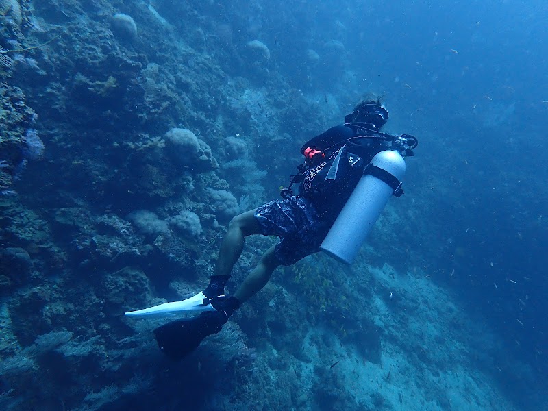 Lanta Diver – Koh Lanta Diving and Snorkeling - Lanta Diver – Koh Lanta Diving and Snorkeling 259, 2, Tambon Sala Dan, Amphoe Ko Lanta, Chang Wat Krabi 81150, Thailand