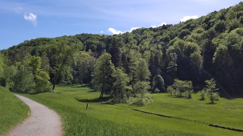 Egelsee - Egelsee Egelsee, 8962 Bergdietikon, Switzerland