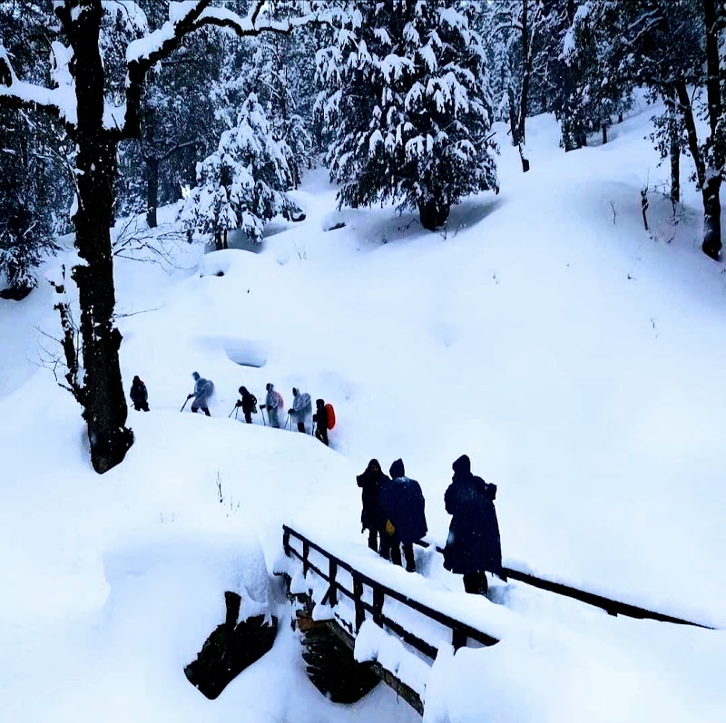 Himalayantop Travels - Himalayantop Travels, Main market, Ukhimath, Semtalli, Uttarakhand 246469, India