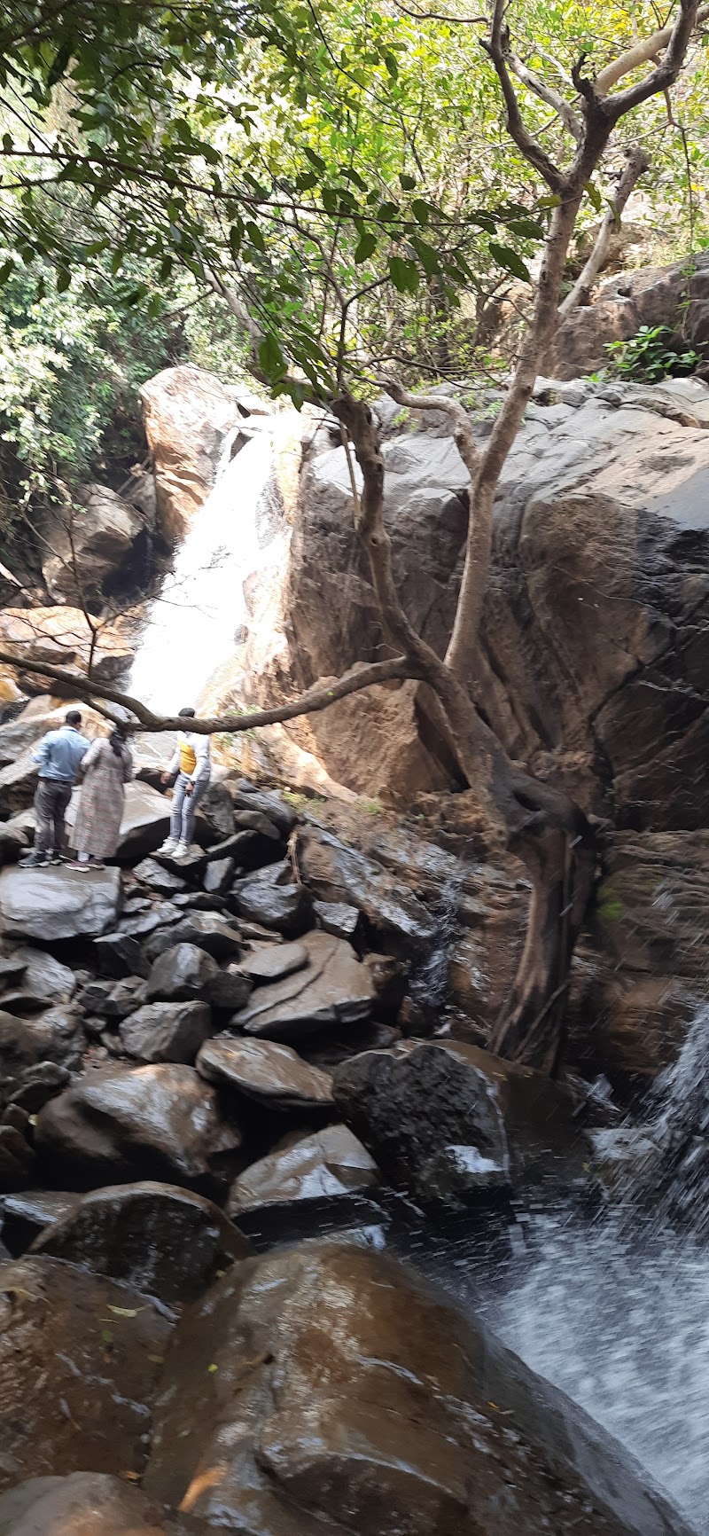 অযোধ্যা পাহাড়, পুরুলিয়া - অযোধ্যা পাহাড়, পুরুলিয়া, 644M+4VQ, Ajodhya, West Bengal 723152, India