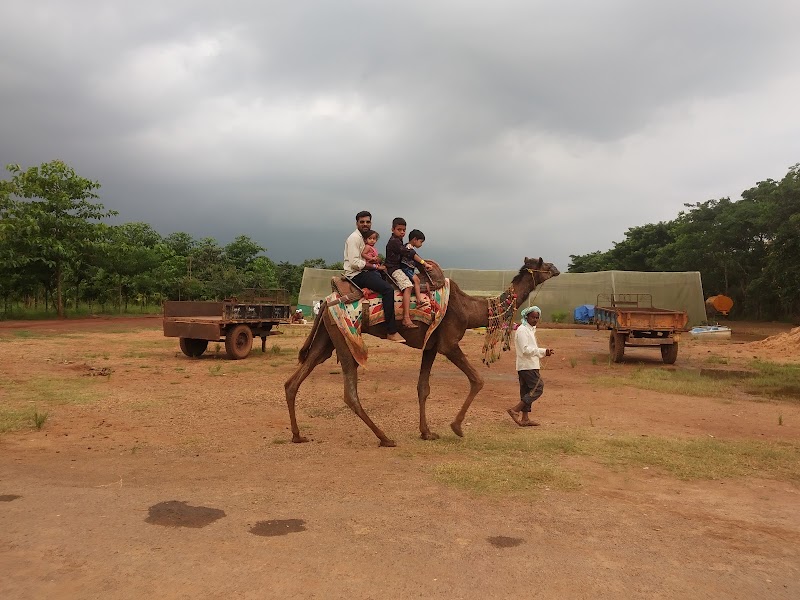 Agadi Thota - Agadi Thota, Tadas - Hangal Road, Shiggaon Taluk, Kunnur, Karnataka 581193, India