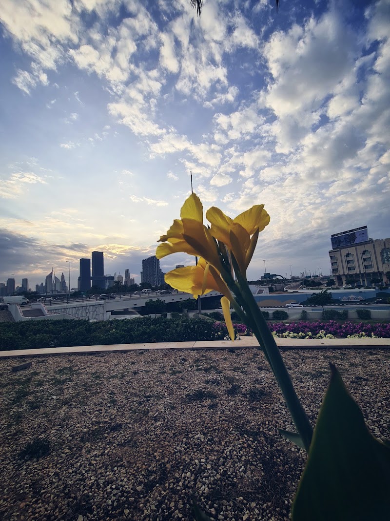 Al Karama - Al Karama - Dubai - United Arab Emirates