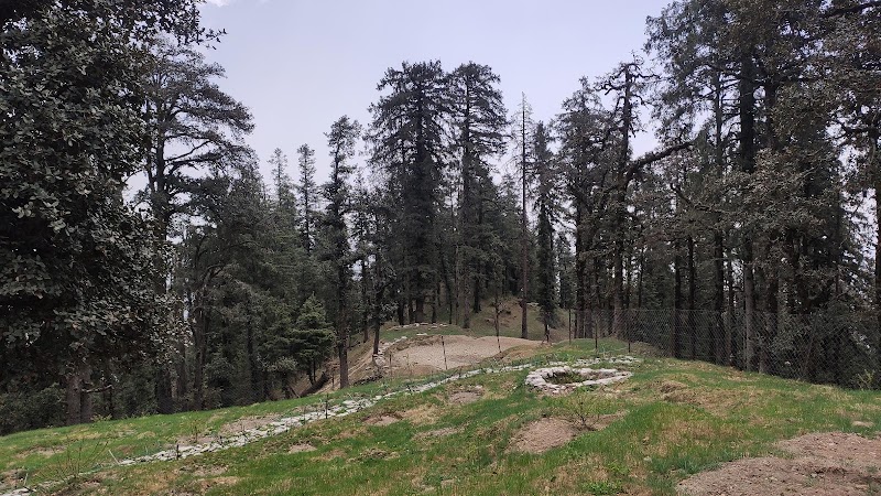 Deoban Forest Rest House - Deoban Forest Rest House, PVX8+6G7, Jadi, Uttarakhand 248123, India