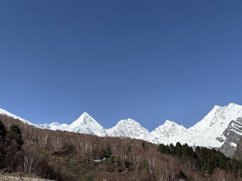 Zero Point panchachuli - Zero Point panchachuli, 6FFV+FR6, Sobala R.F., Uttarakhand 262545, India