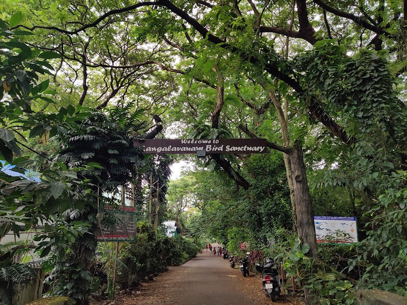 Mangalavanam Bird Sanctuary - Mangalavanam Bird Sanctuary High Ct Rd, Marine Drive, Kochi, Kerala 682018, India