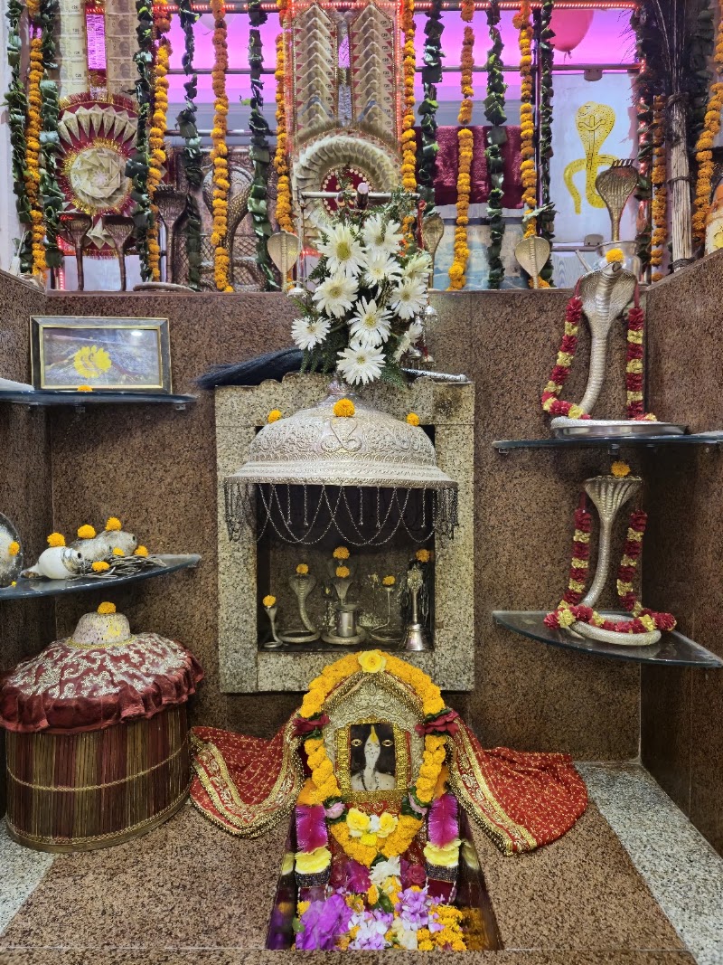Nag mandir ranital - Nag mandir ranital Nag mandir, Chelian, Himachal Pradesh 176029, India