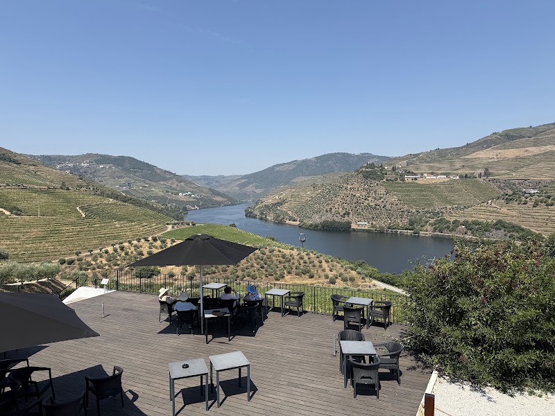 Living Tours - Living Tours, R. de Mouzinho da Silveira 352 354, 4050-418 Porto, Portugal