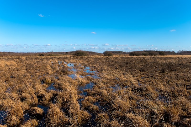 Nationaal Park De Groote Peel - Nationaal Park De Groote Peel, Moostdijk 15, 6035 RB Ospel, Netherlands