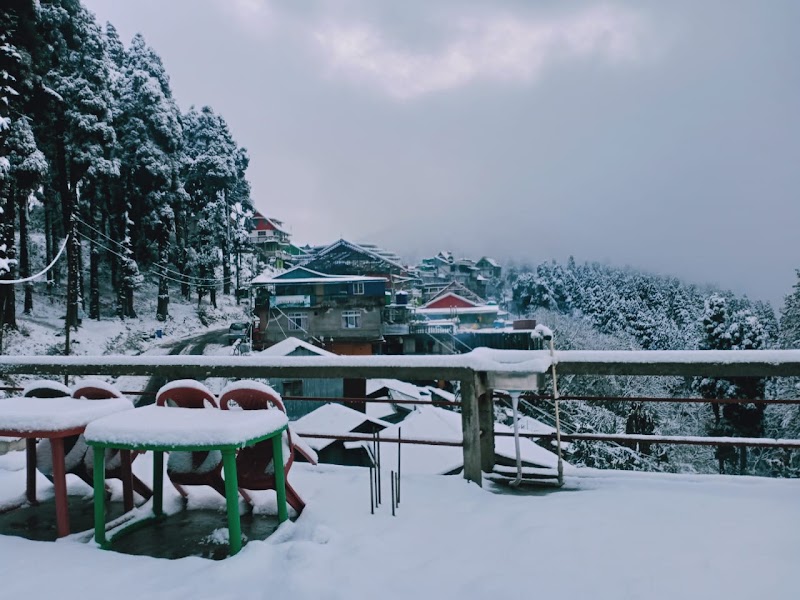 Pine View Homestay | Homestay in Lepchajagat | Darjelling District - Pine View Homestay | Homestay in Lepchajagat | Darjelling District Sukhia, Road, Lepcha Jagat, Ghoom Pahar Forest, West Bengal 734221, India