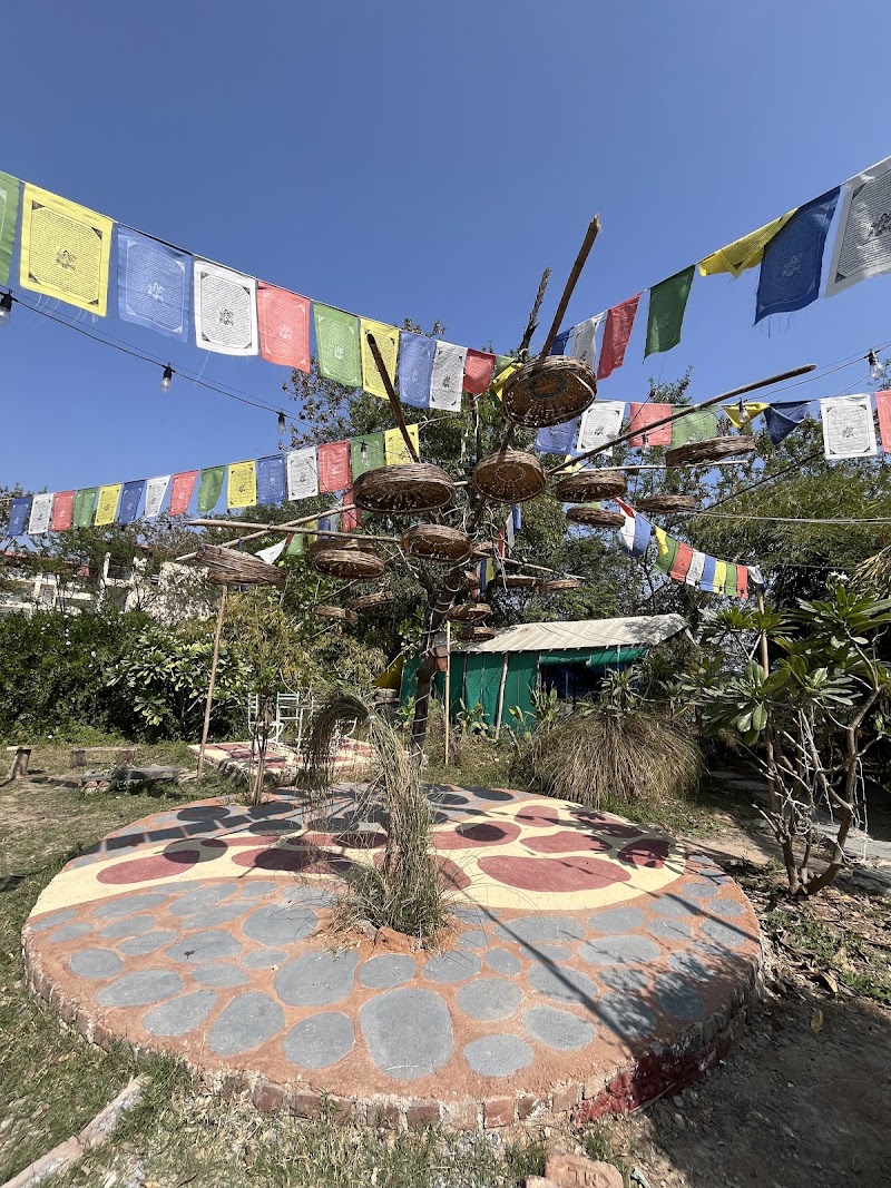 THE COUNTRY SIDE - FARM & CAFE - THE COUNTRY SIDE - FARM & CAFE 1, Liyo ka, Guda, Badi Lake Rd, near Villa Le Palm resort, Udaipur, Liyo Ka Gurha, Rajasthan 313011, India
