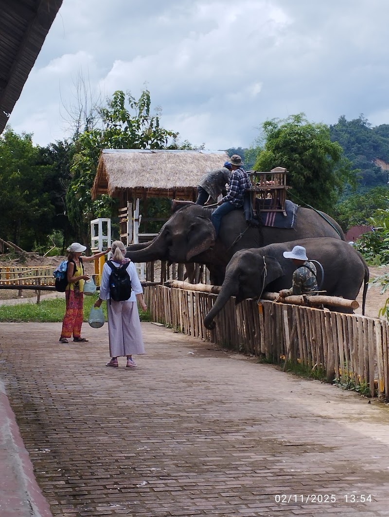 Taxi Tour Luangprabang,laos - Taxi Tour Luangprabang,laos, world 🌎 heritage site, Luang Prabang 06000, Laos