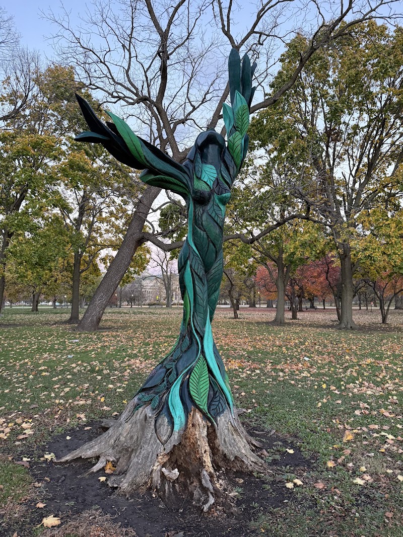 Jackson Park - Jackson Park, Chicago, IL, USA