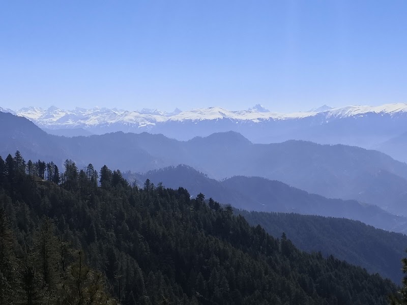 Narkanda Road - Narkanda Road, Narkanda Rd, Himachal Pradesh, India