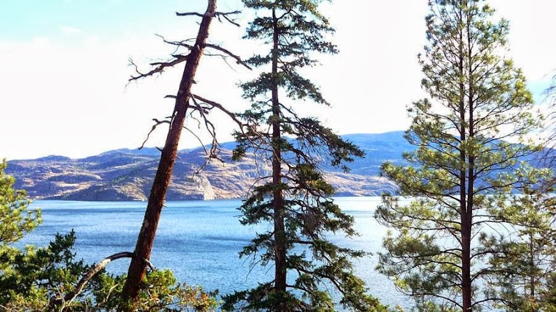 Pineacre on the Lake - Pineacre on the Lake 7220 Highway 97 South, Peachland, BC V0H 1X9, Canada