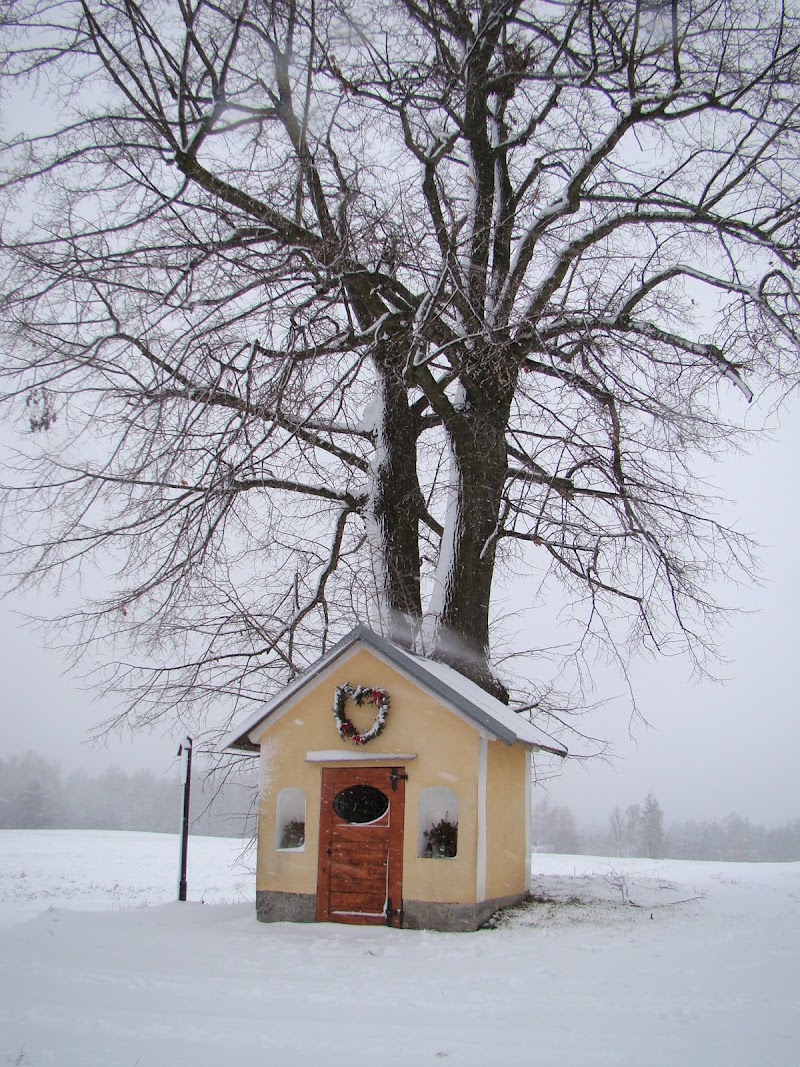 Krásná Lípa - Krásná Lípa, Czechia