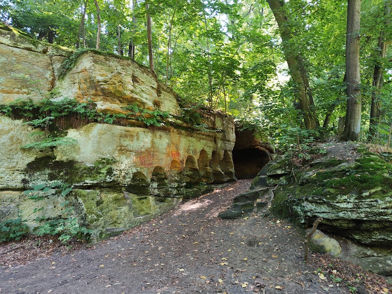 Vinoř Nature Reserve - Vinoř Nature Reserve, 190 15 Satalice, Czechia