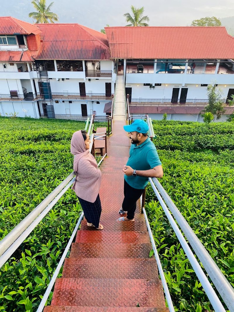 Dream Catcher Plantation Resort - Dream Catcher Plantation Resort, Tea Company,Bisonvalley Road, Rathnagiri, Kerala 685565, India