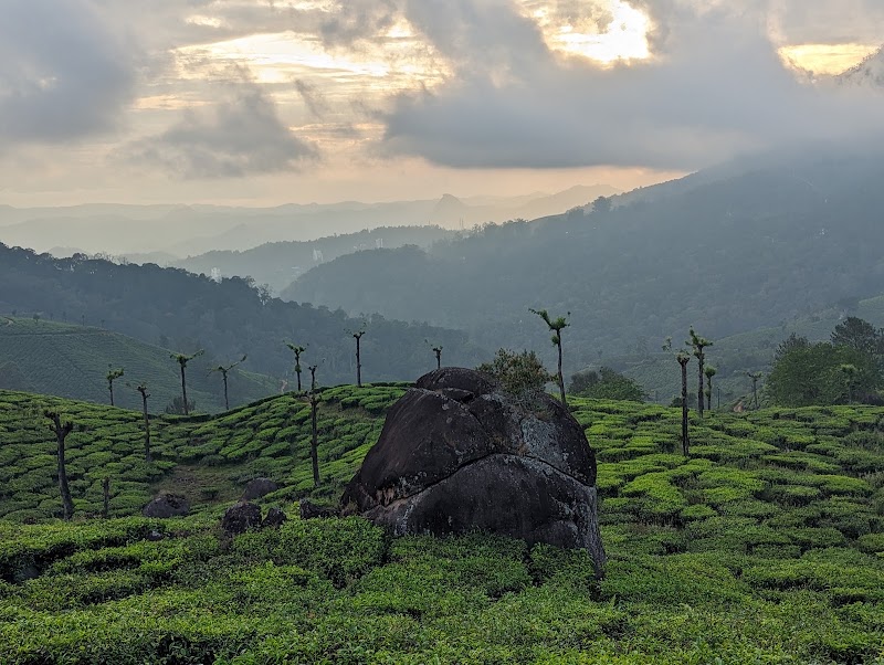 Munnar tea trekking adventure - Munnar tea trekking adventure 20 Acre, Munnar Road, Nullatanni, Pallivasal, Munnar, Kerala 685612, India