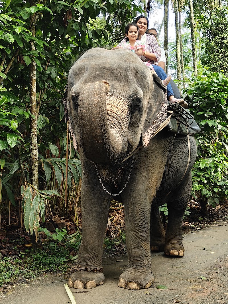Kerala trip planner - Kerala trip planner, Gumathore Odatha Rd, Gumathore Odatha, Anavathil, Jubilee Nagar, Veli, Kochi, Kerala 682001, India