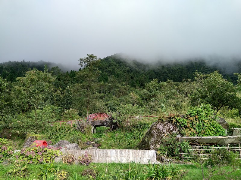 Botanical Nursery - Botanical Nursery 9J6H+767, Gangtok, Sikkim 737103, India