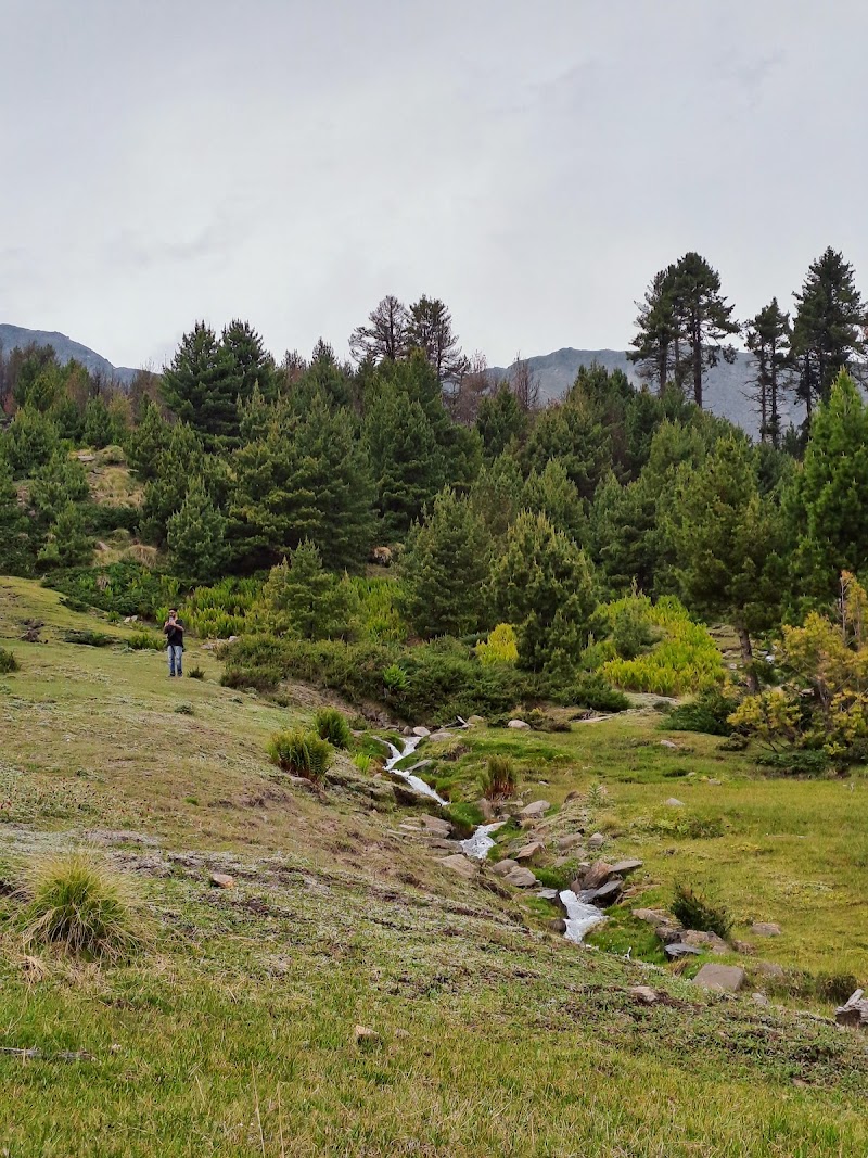 Chaka peak - Chaka peak G6Q4+2W, Dhar Shulacha Pilaya, Himachal Pradesh 172108, India