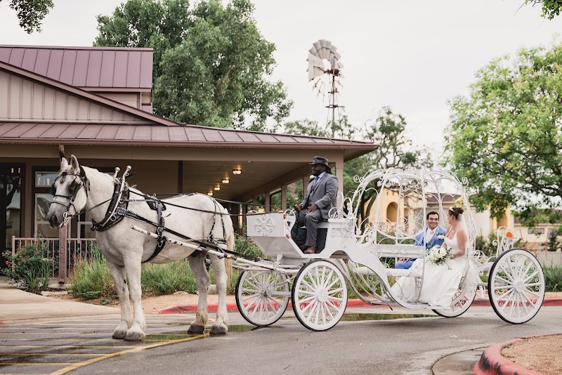 White Horse and Carriage Company - White Horse and Carriage Company Box 5089, San Antonio, TX 78201, USA