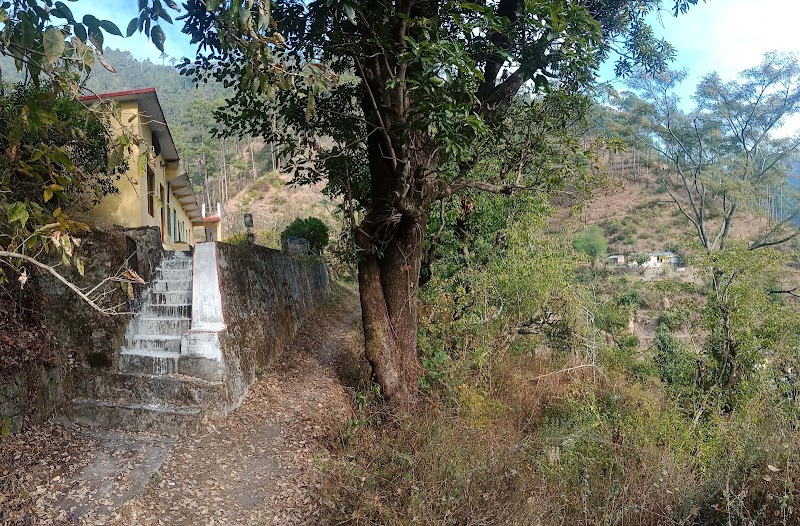 Auli Tourism - Auli Tourism, tower canteen, near, Auli Rd, Joshimath, Auli Laga Salude, Uttarakhand 246443, India