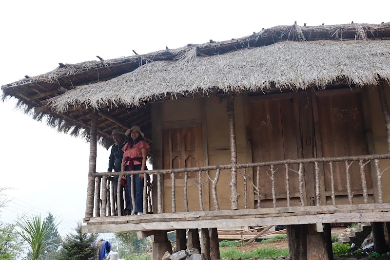 Ghising Homestay - Ghising Homestay Mazuwa Road Dameygaon, near Manybhanjang, Majua, West Bengal 734221, India