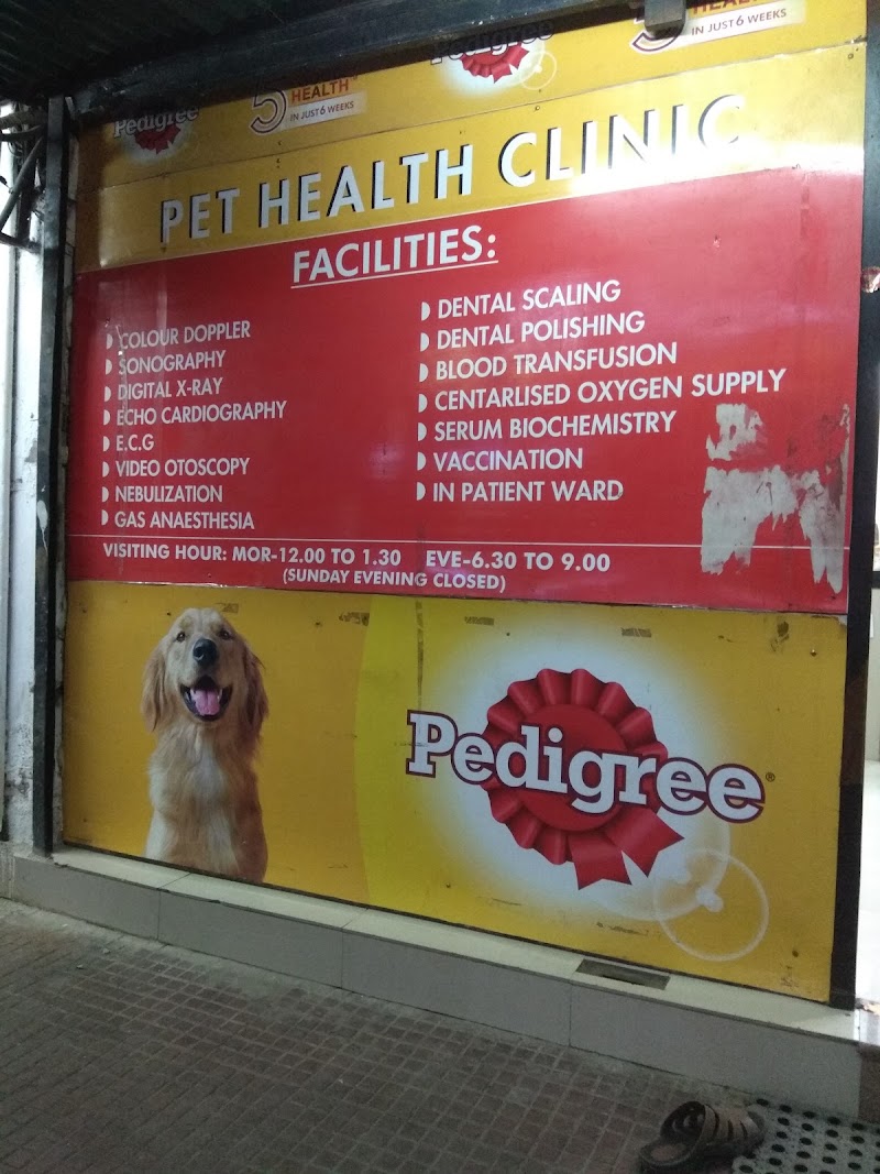 Pet Health Clinic - Dr. Padam Jain | Pet Clinic in Raipur | Veterinary Doctor in Raipur. - Pet Health Clinic - Dr. Padam Jain | Pet Clinic in Raipur | Veterinary Doctor in Raipur. Shop No. 7, Ashoka Tower, Shankar Nagar, Raipur, Chhattisgarh 492004, India