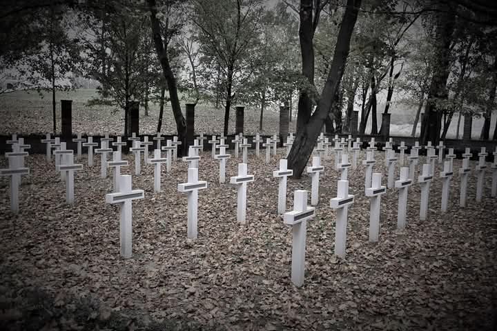 Bunker B-S 8 "Cemetery" - Bunker B-S 8 "Cemetery", Kopčianska, 851 01 Bratislava-Petržalka, Slovakia