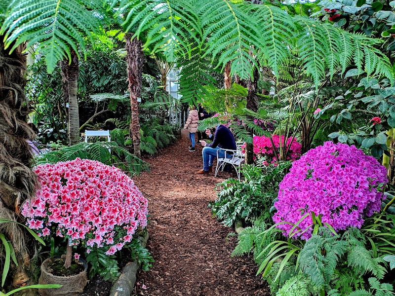 Palm House - Palm House, Schönbrunn Palace Park, 1130 Wien, Austria