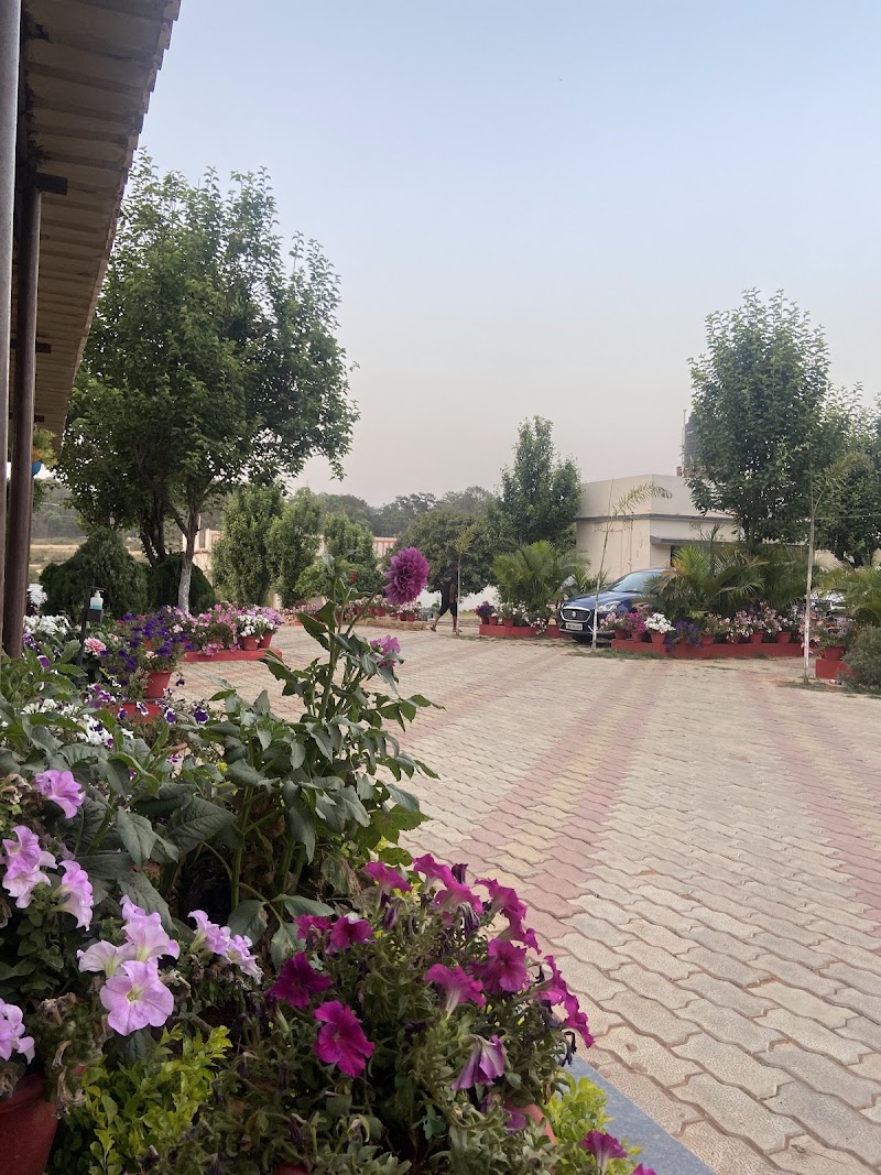 HOTEL RAVI AND SHASHI - HOTEL RAVI AND SHASHI, Police station road, Netarhat, Birjiatoli, Jharkhand 835218, India