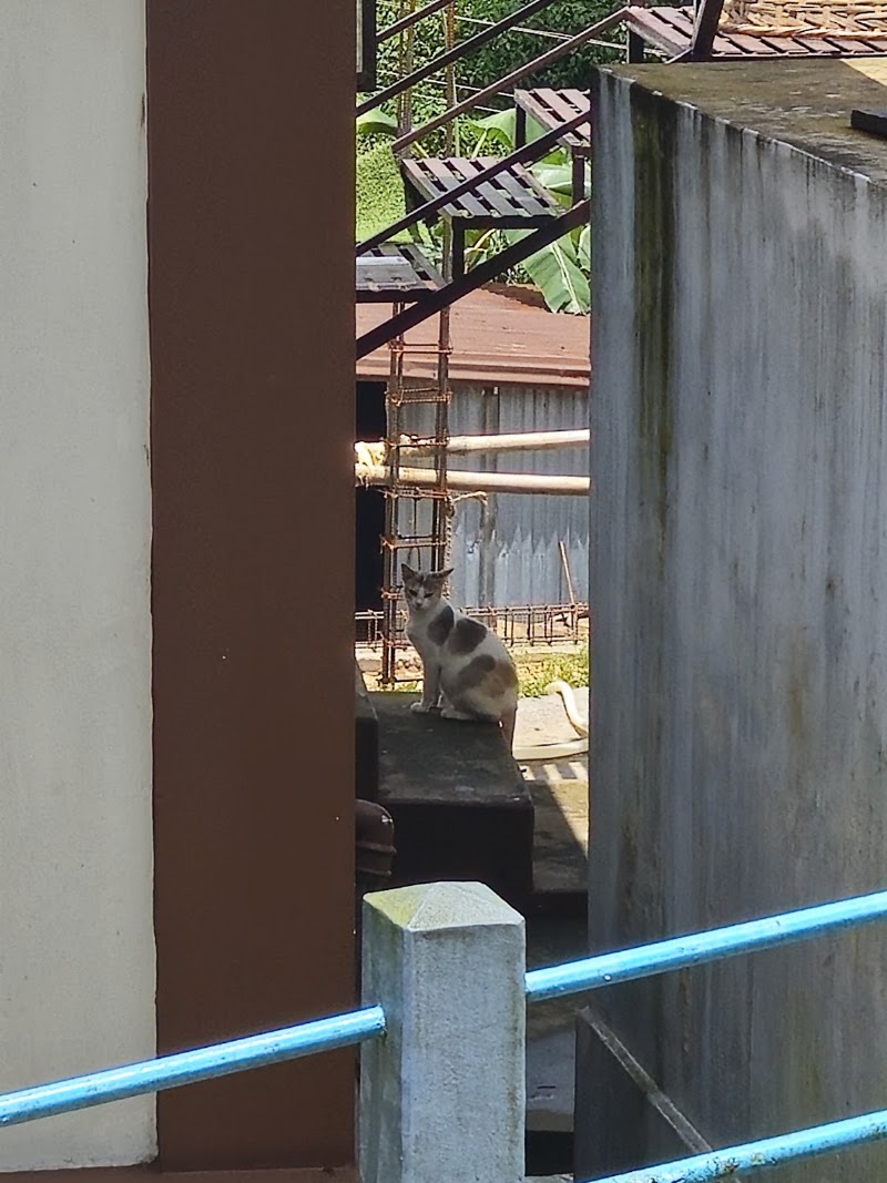 KJ Homestay - KJ Homestay Pdengshnong, Sohra, Meghalaya 793108, India