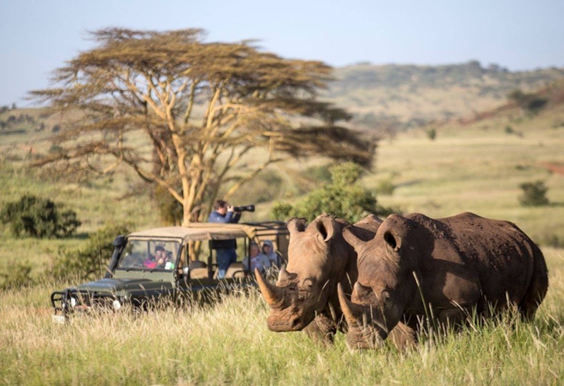 Lewa Wildlife Conservancy - Lewa Wildlife Conservancy, Isiolo, Kenya