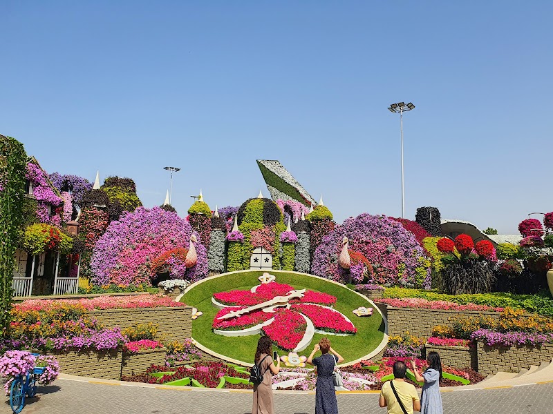 Dubai Miracle Garden - Dubai Miracle Garden Street 3 - Al Barsha South Third - Al Barsha South - Dubai - United Arab Emirates