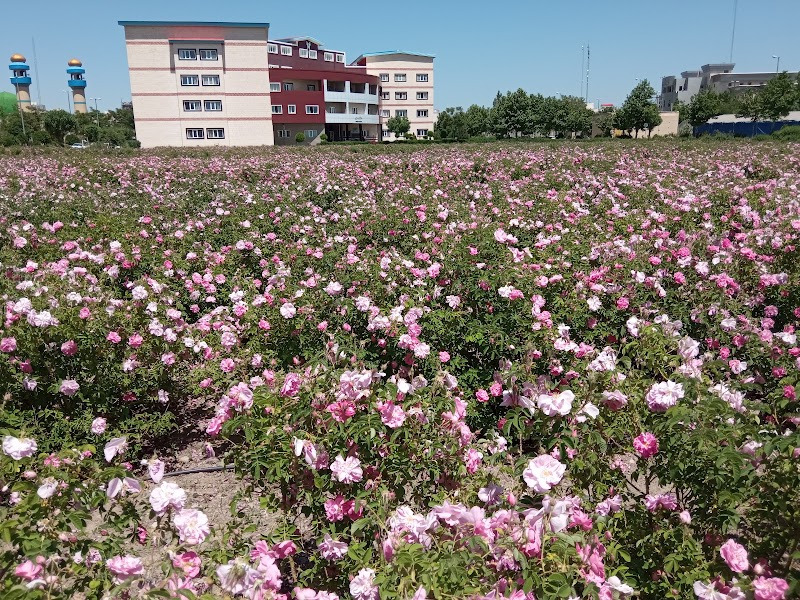 Islamic Azad University - Islamic Azad University, 67GC+VHF, Ardabil, Ardabil Province, Iran