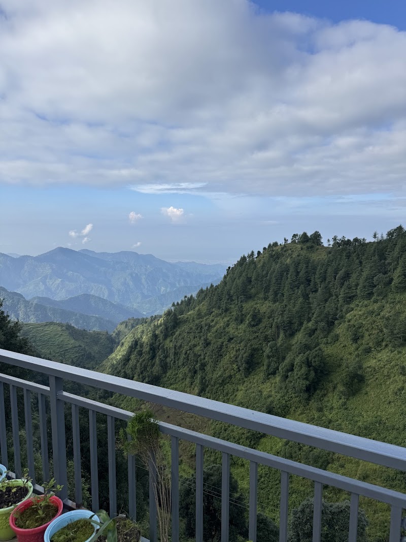 The Bliss Dhanaulti - The Bliss Dhanaulti Buranshkhanda, Dhanolti, Kempty Range, Uttarakhand 249180, India