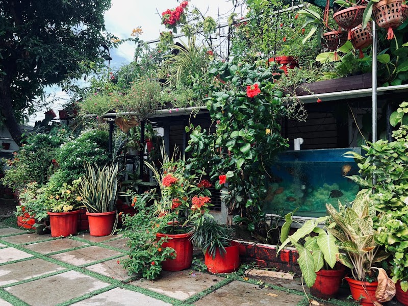The Bougainvilla Homestay - The Bougainvilla Homestay, Veliath House, Fort Kochi Veli Ground, 27/1664, Odatha Rd, Gumathore Odatha, Jubilee Nagar, Veli, Kochi, Kerala 682001, India