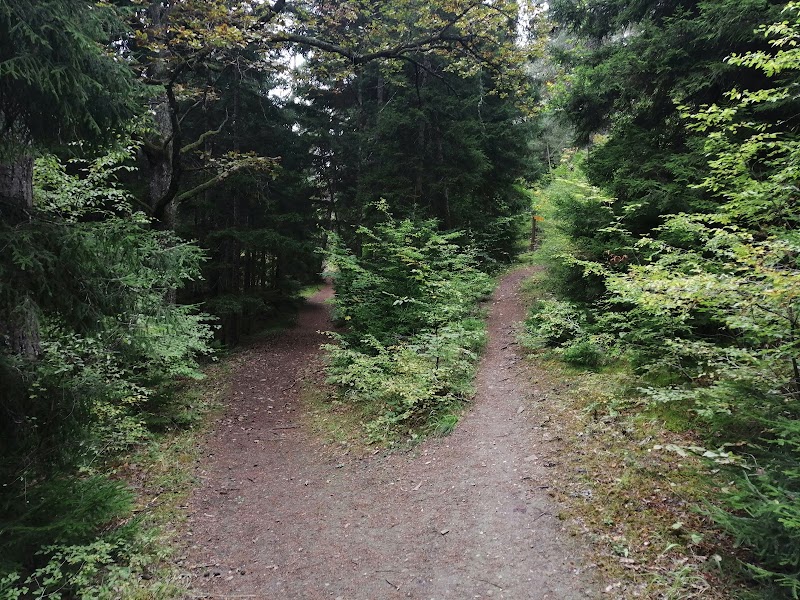 Borjomi-Kharagauli National Park Administration - Borjomi-Kharagauli National Park Administration, 23 მესხეთის ქუჩა, Borjomi 1200, Georgia