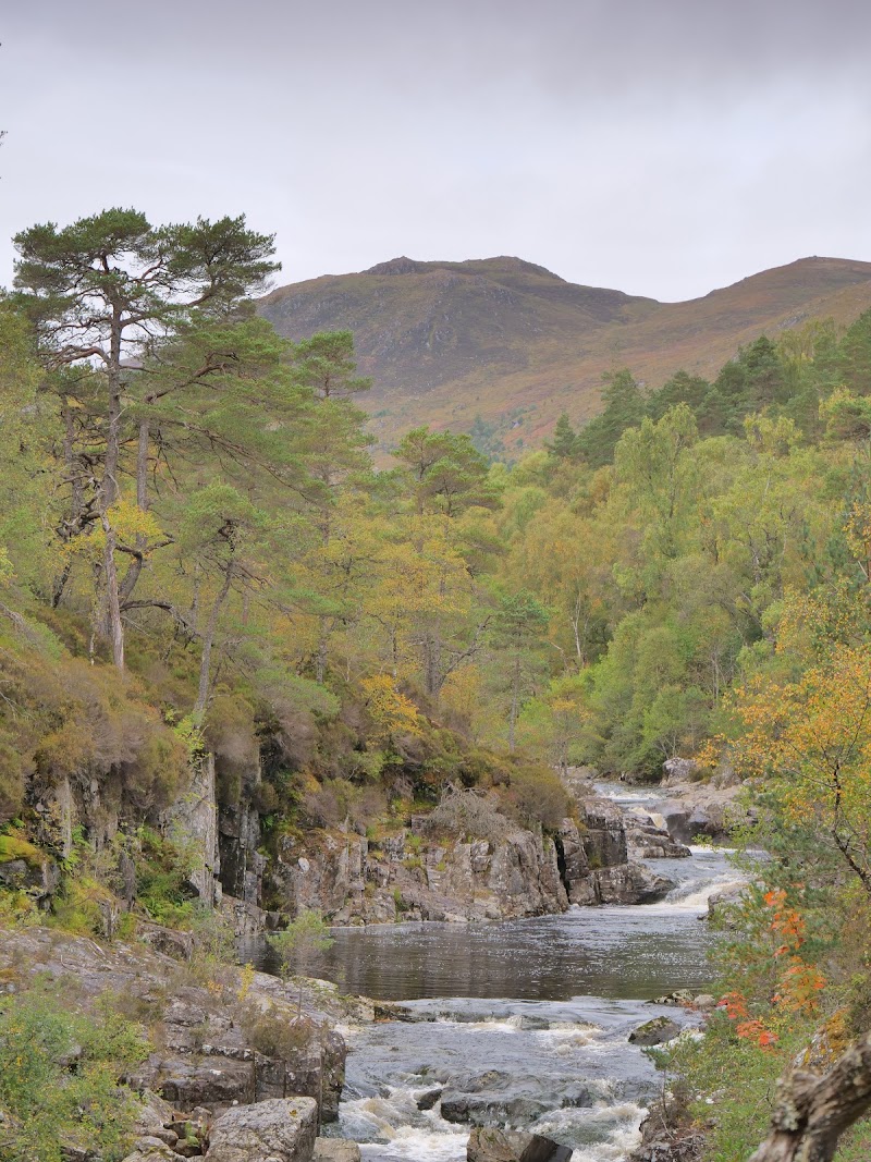 Glen Affric - Glen Affric Cannich, Near IV4 7LY, UK
