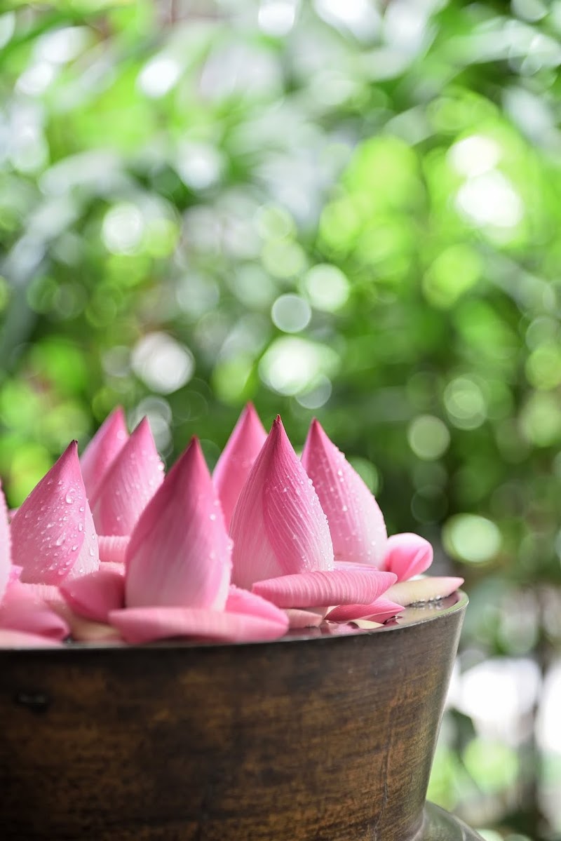 Comida Ngon - Flower Art Tour - Comida Ngon - Flower Art Tour, 10/450, Đ. Bạch Đằng, Hồng Hà, Hà Nội 10000, Vietnam