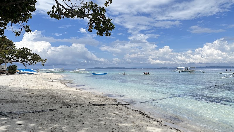 Abraham Tours Bohol - Abraham Tours Bohol, Purok 5 Panglao Island Circumferential Rd, Panglao, Bohol, Philippines