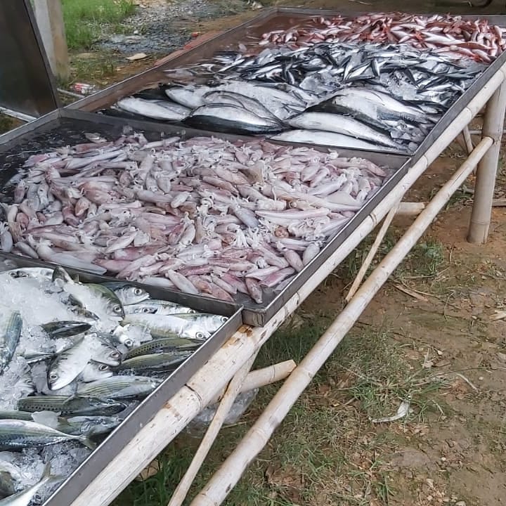 Koh Lanta Monday Market - Koh Lanta Monday Market, J2GM+97M, 4245, Tambon Sala Dan, Amphoe Ko Lanta, Chang Wat Krabi 81150, Thailand